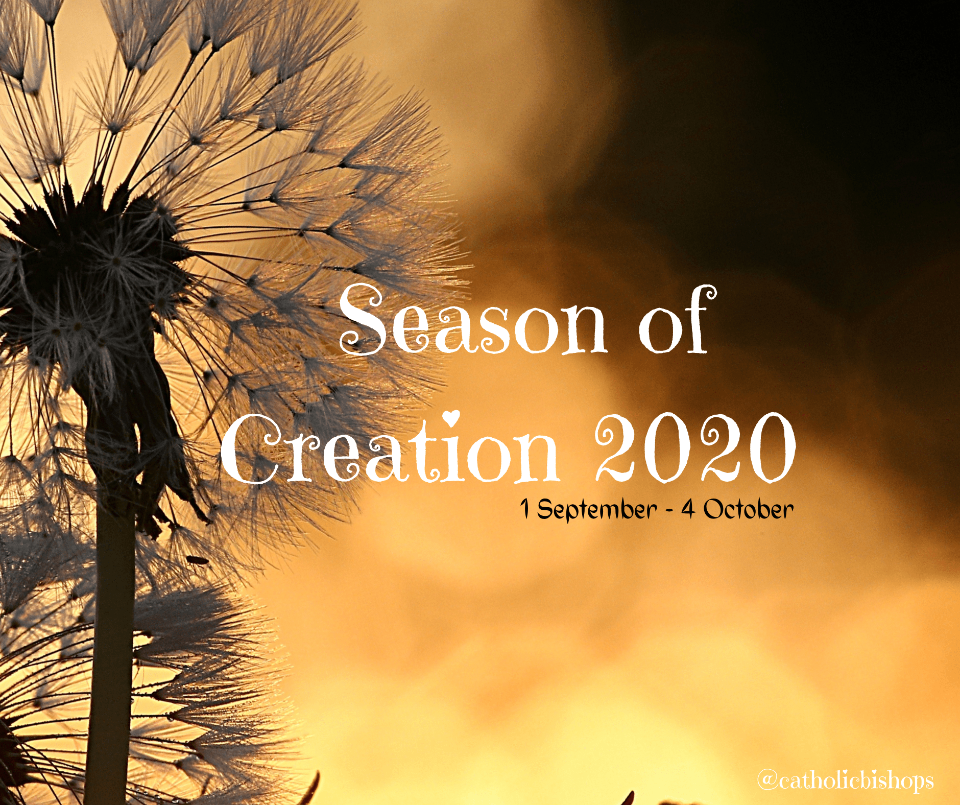 Season-of-Creation-2020
