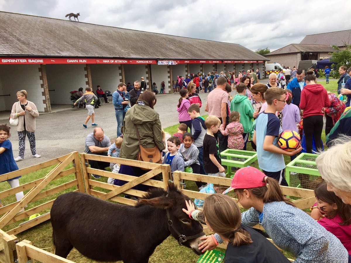 Pet corner punchestown | KandLe